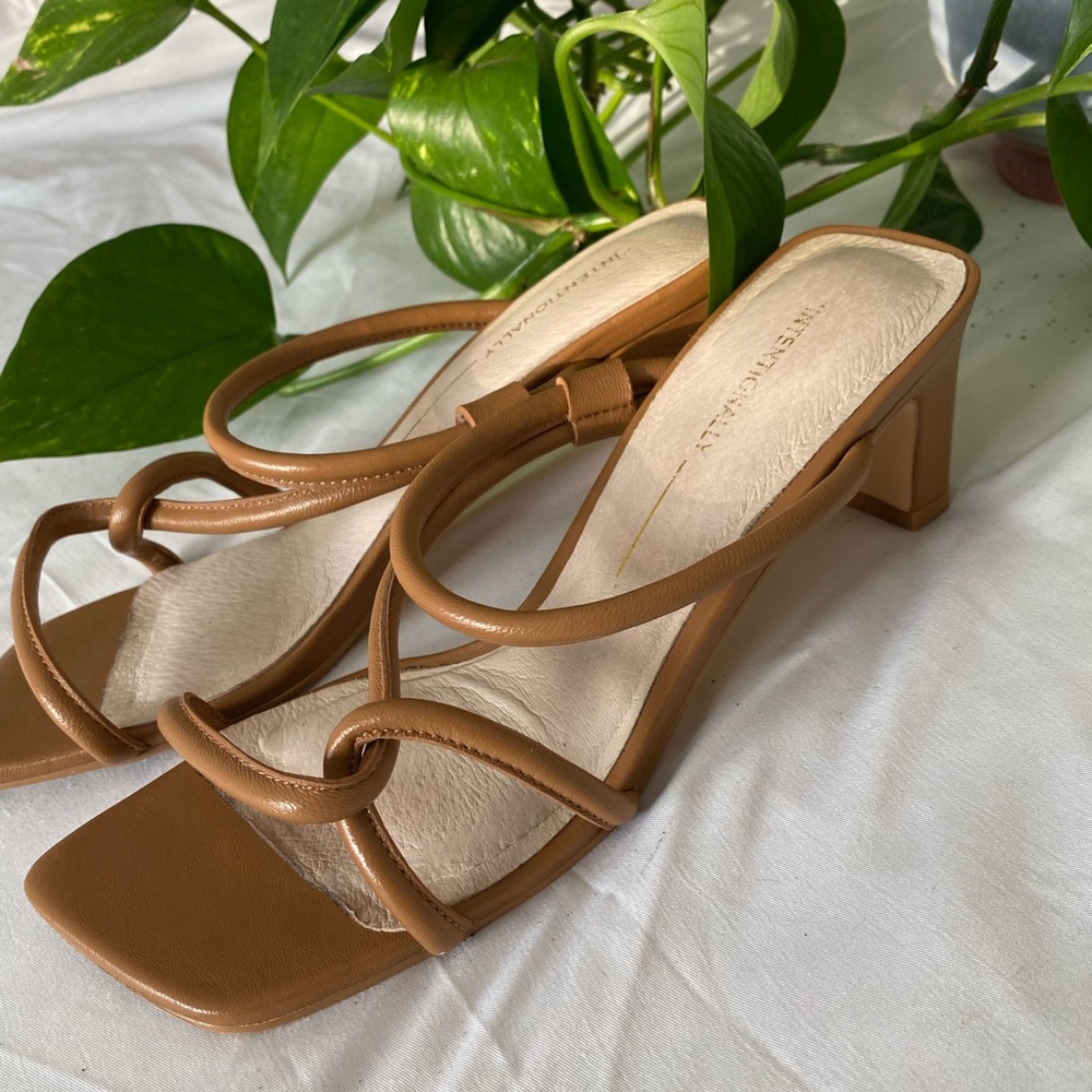 Blank Willow - Intentionally Blank